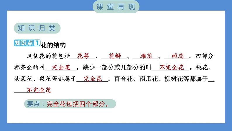 1.5 凤仙花开花了（习题课件+知识点梳理）教科版四年级科学下册（PowerPoint 打开PPT）02