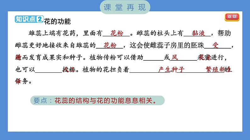 1.5 凤仙花开花了（习题课件+知识点梳理）教科版四年级科学下册（PowerPoint 打开PPT）03