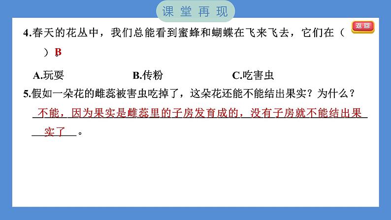 1.5 凤仙花开花了（习题课件+知识点梳理）教科版四年级科学下册（PowerPoint 打开PPT）06
