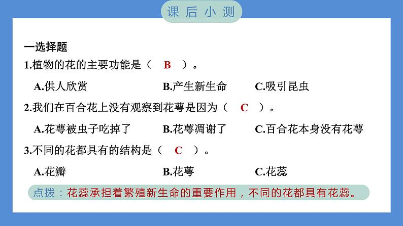1.5 凤仙花开花了（习题课件+知识点梳理）教科版四年级科学下册（PowerPoint 打开PPT）07