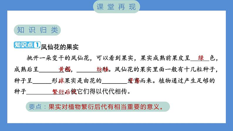 1.6 果实和种子（习题课件+知识点梳理）教科版四年级科学下册（PowerPoint 打开PPT）02