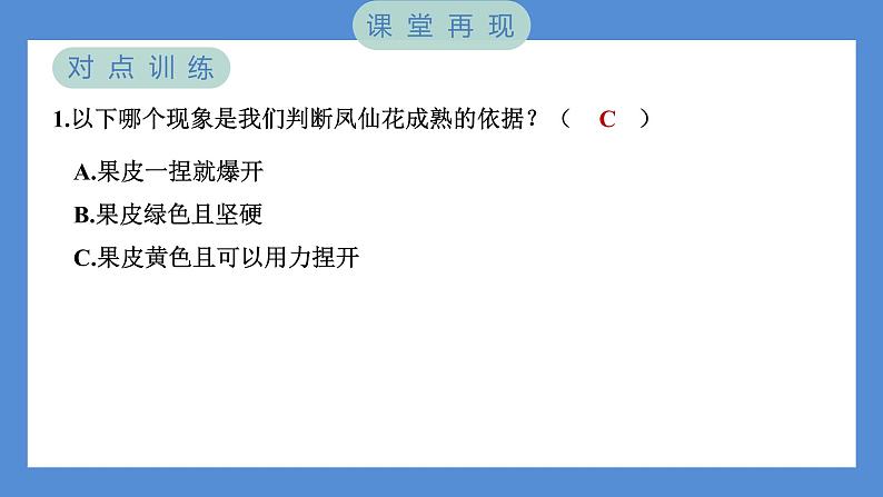 1.6 果实和种子（习题课件+知识点梳理）教科版四年级科学下册（PowerPoint 打开PPT）04