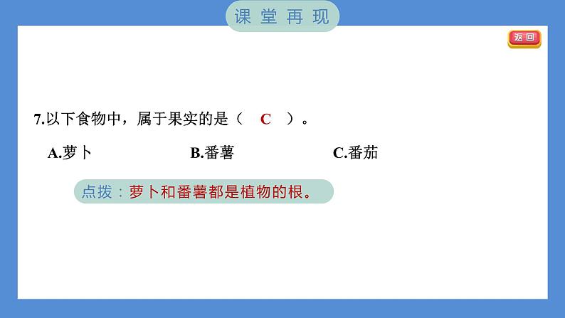 1.6 果实和种子（习题课件+知识点梳理）教科版四年级科学下册（PowerPoint 打开PPT）07