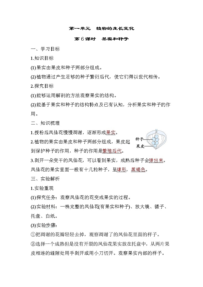 第6课时　果实和种子第1页