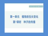 1.7 种子的传播（习题课件+知识点梳理）教科版四年级科学下册（PowerPoint 打开PPT）