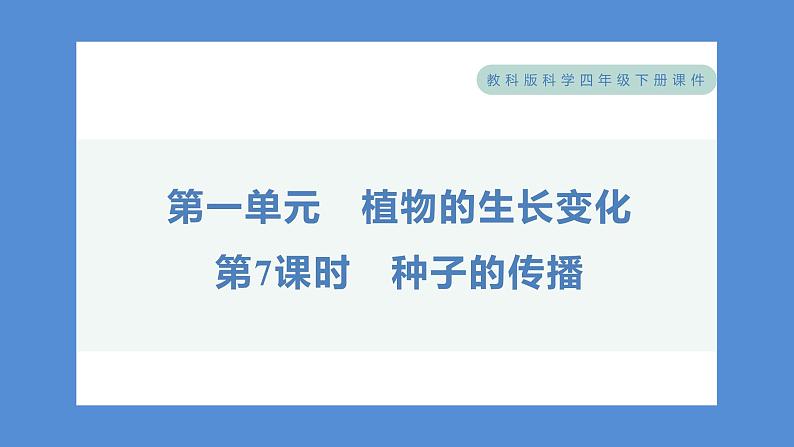1.7 种子的传播（习题课件+知识点梳理）教科版四年级科学下册（PowerPoint 打开PPT）01