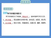 1.7 种子的传播（习题课件+知识点梳理）教科版四年级科学下册（PowerPoint 打开PPT）