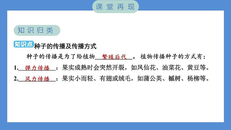 1.7 种子的传播（习题课件+知识点梳理）教科版四年级科学下册（PowerPoint 打开PPT）02