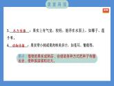 1.7 种子的传播（习题课件+知识点梳理）教科版四年级科学下册（PowerPoint 打开PPT）