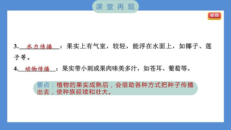1.7 种子的传播（习题课件+知识点梳理）教科版四年级科学下册（PowerPoint 打开PPT）03