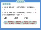 1.7 种子的传播（习题课件+知识点梳理）教科版四年级科学下册（PowerPoint 打开PPT）