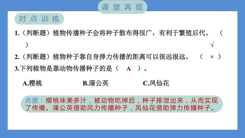 1.7 种子的传播（习题课件+知识点梳理）教科版四年级科学下册（PowerPoint 打开PPT）04
