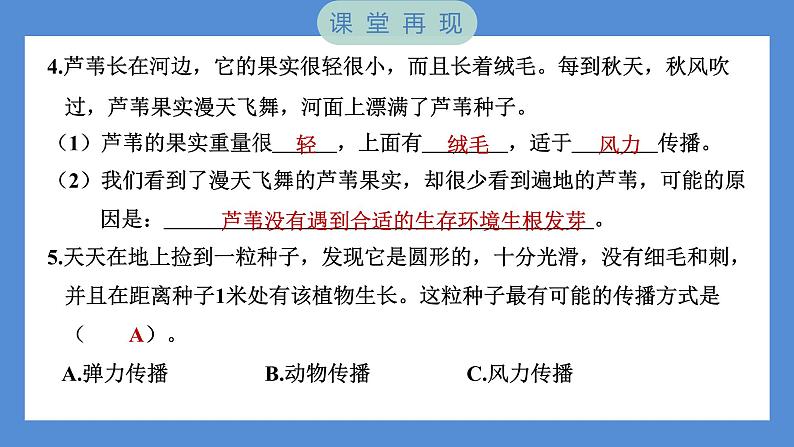 1.7 种子的传播（习题课件+知识点梳理）教科版四年级科学下册（PowerPoint 打开PPT）05