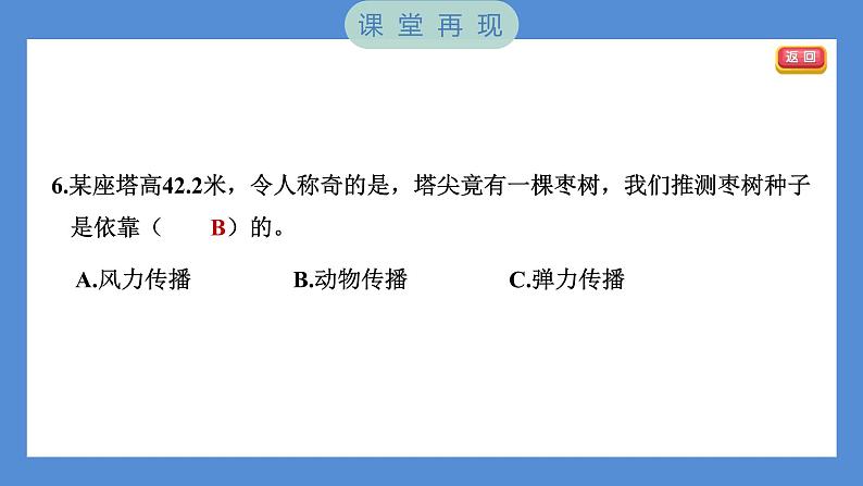 1.7 种子的传播（习题课件+知识点梳理）教科版四年级科学下册（PowerPoint 打开PPT）06