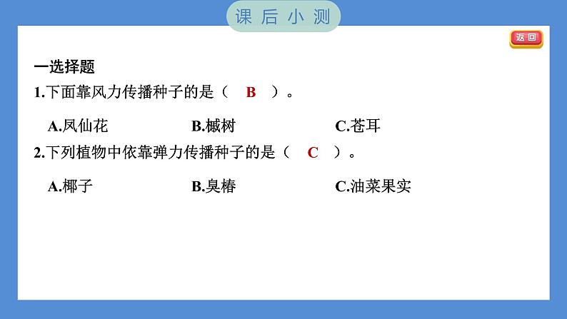 1.7 种子的传播（习题课件+知识点梳理）教科版四年级科学下册（PowerPoint 打开PPT）07