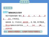 1.8 凤仙花的一生（习题课件+知识点梳理）教科版四年级科学下册（PowerPoint 打开PPT）