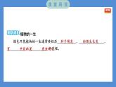 1.8 凤仙花的一生（习题课件+知识点梳理）教科版四年级科学下册（PowerPoint 打开PPT）