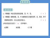 1.8 凤仙花的一生（习题课件+知识点梳理）教科版四年级科学下册（PowerPoint 打开PPT）