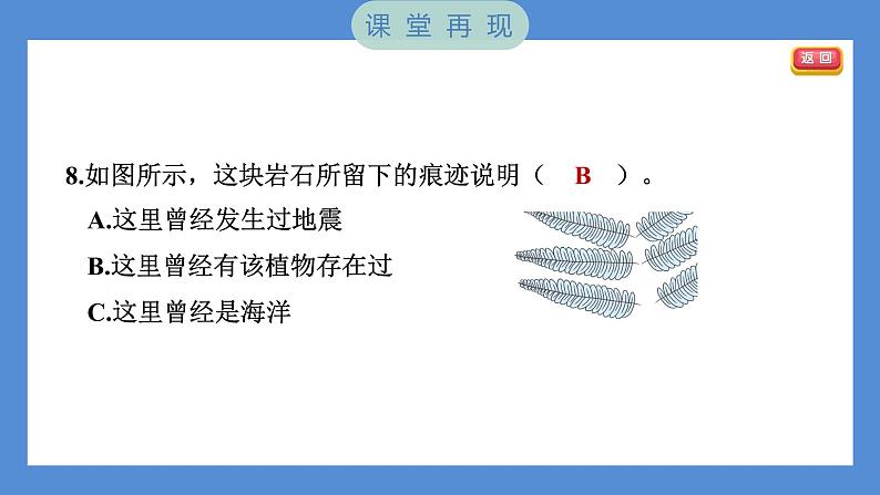 3.1 岩石与土壤的故事（习题课件+知识点梳理）教科版四年级科学下册（PowerPoint 打开PPT）08