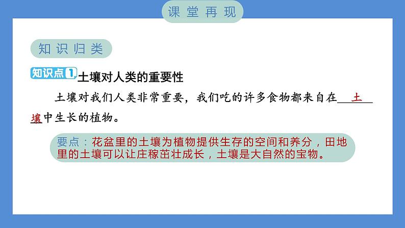 3.6 观察土壤（习题课件+知识点梳理）教科版四年级科学下册（PowerPoint 打开PPT）02