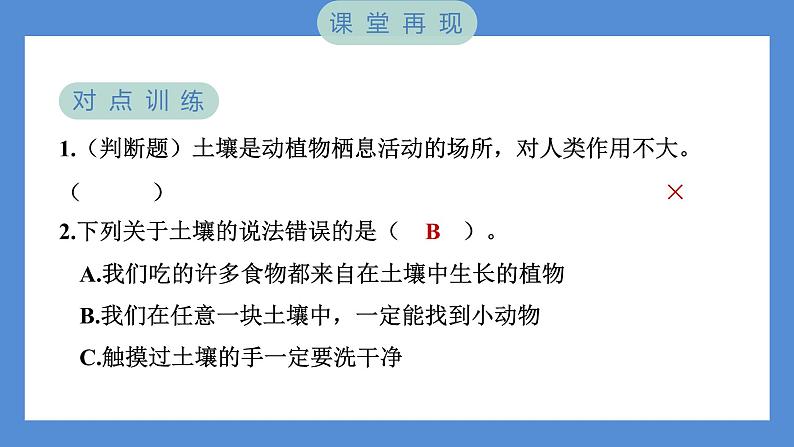 3.6 观察土壤（习题课件+知识点梳理）教科版四年级科学下册（PowerPoint 打开PPT）05