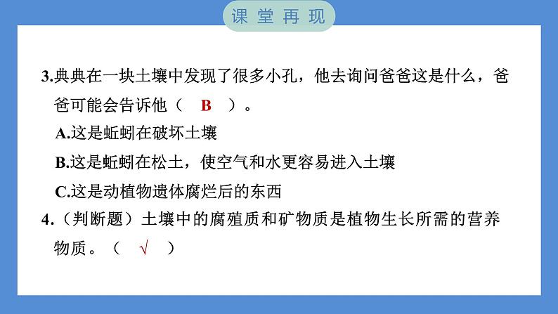 3.6 观察土壤（习题课件+知识点梳理）教科版四年级科学下册（PowerPoint 打开PPT）06