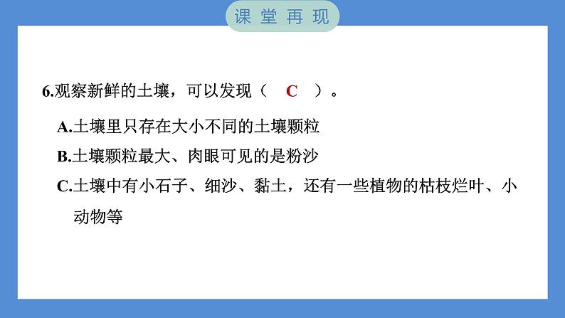 3.6 观察土壤（习题课件+知识点梳理）教科版四年级科学下册（PowerPoint 打开PPT）08