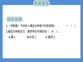 3.7 比较不同的土壤（习题课件+知识点梳理）教科版四年级科学下册（PowerPoint 打开PPT）