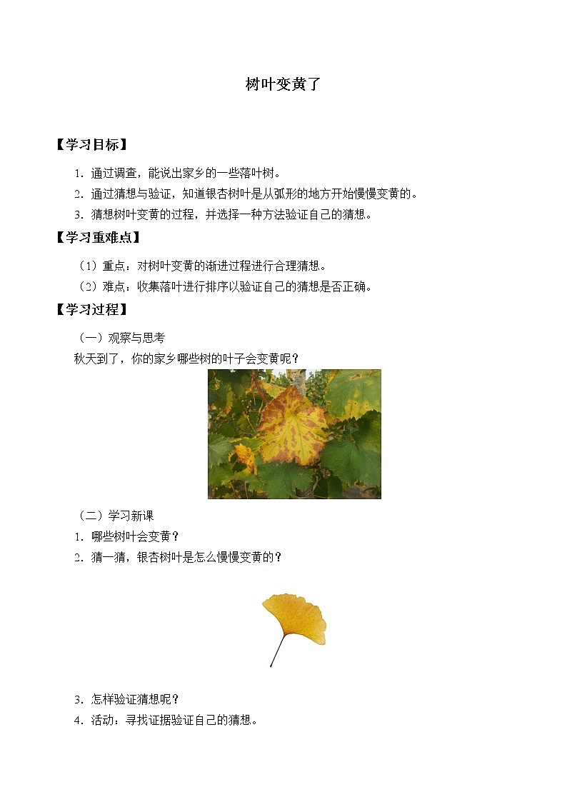 一年级上册科学学案-9 树叶变黄了 苏教版01