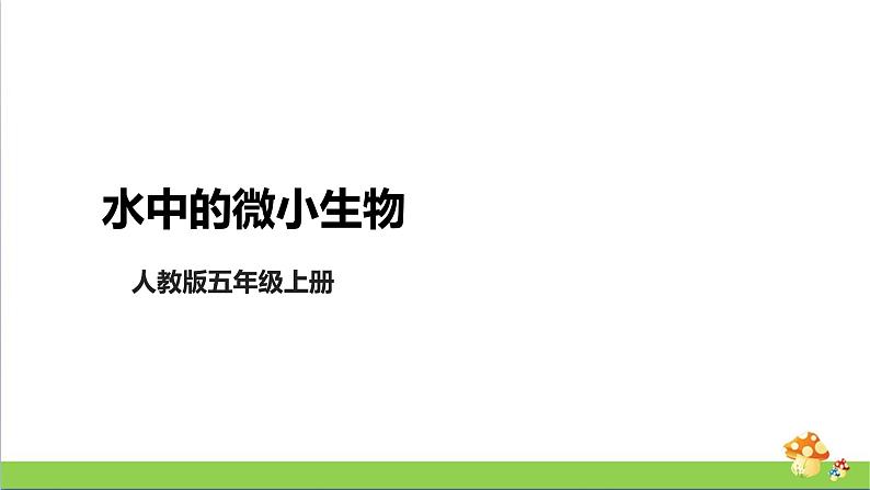 [人教版]五年级上册科学3.8《水中的微小生物》教学课件第1页