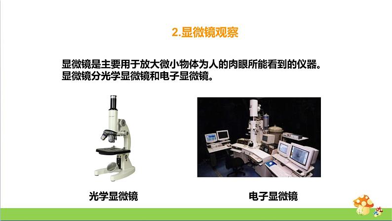 [人教版]五年级上册科学3.8《水中的微小生物》教学课件第8页