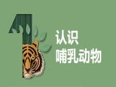 [蘇教版]科學(xué)四年級上冊1.4哺乳動物教學(xué)課件