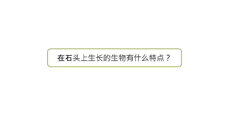 [苏教版]三年级下册科学8石头上的植物（教学课件）第4页