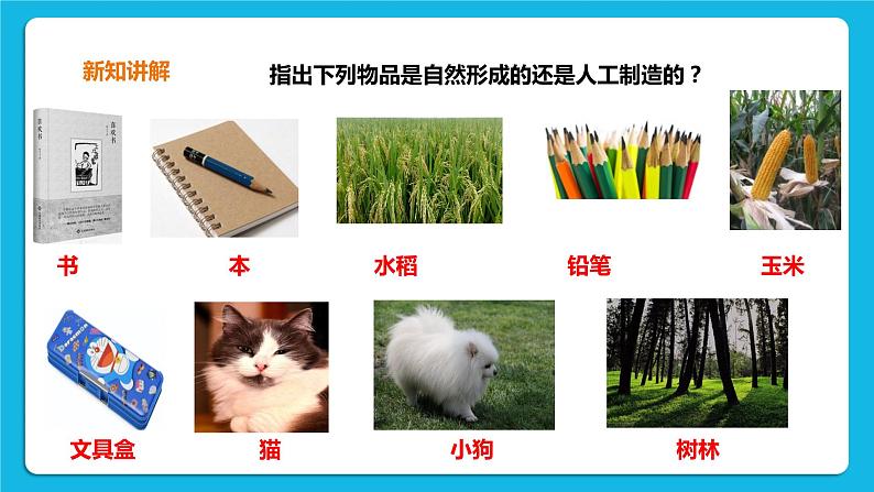 1.3 我们的家园 课件＋教案＋练习05