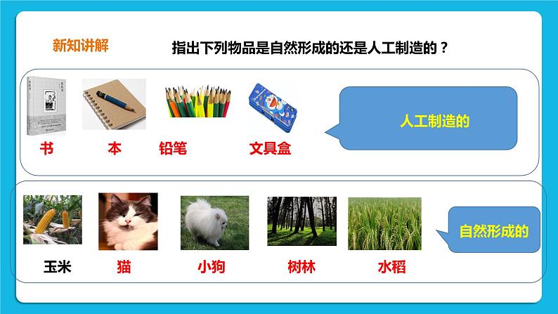 1.3 我们的家园 课件＋教案＋练习06