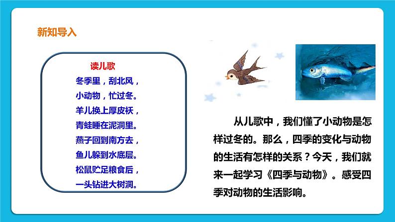 3.2 四季与动物 课件＋教案＋练习02