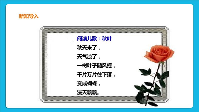 3.3 四季与植物 课件＋教案＋练习02