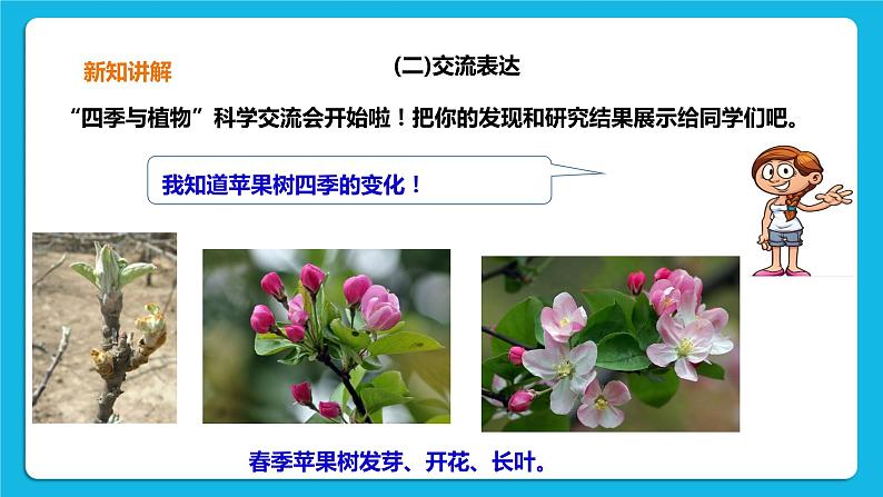 3.3 四季与植物 课件＋教案＋练习07