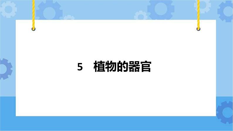 冀人版（2017秋）四年级下册5《植物的器官》 课件01