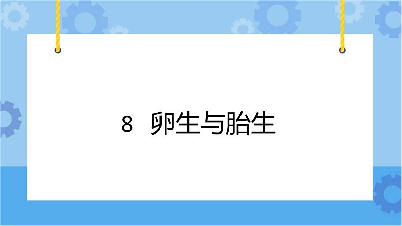 冀人版（2017秋）四年级下册8《卵生与胎生》 课件01