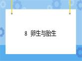 冀人版（2017秋）四年级下册8《卵生与胎生》 课件