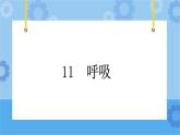 冀人版（2017秋）四年级下册11《呼吸》 课件