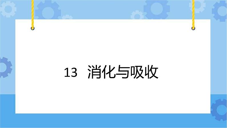 冀人版（2017秋）四年级下册13《消化与吸收》 课件第1页