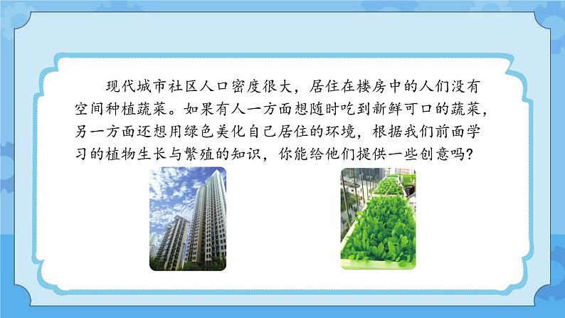 冀人版（2017秋）四年级下册18《我家的小菜园（一）》 课件第4页