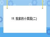 冀人版（2017秋）四年级下册19《我家的小菜园（二）》) 课件