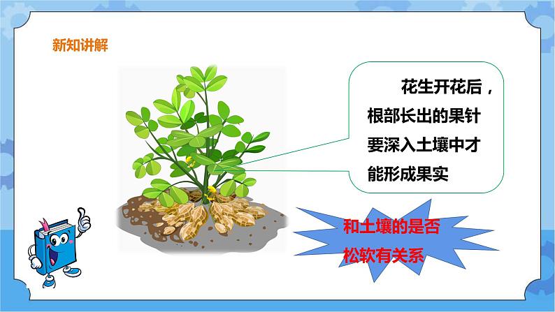 1.3《土壤与植物》课件+教案+练习05