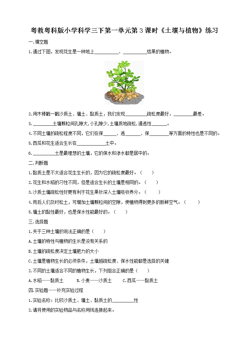 1.3《土壤与植物》课件+教案+练习01