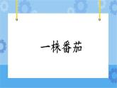 3.11《一株番茄》课件+教案+练习