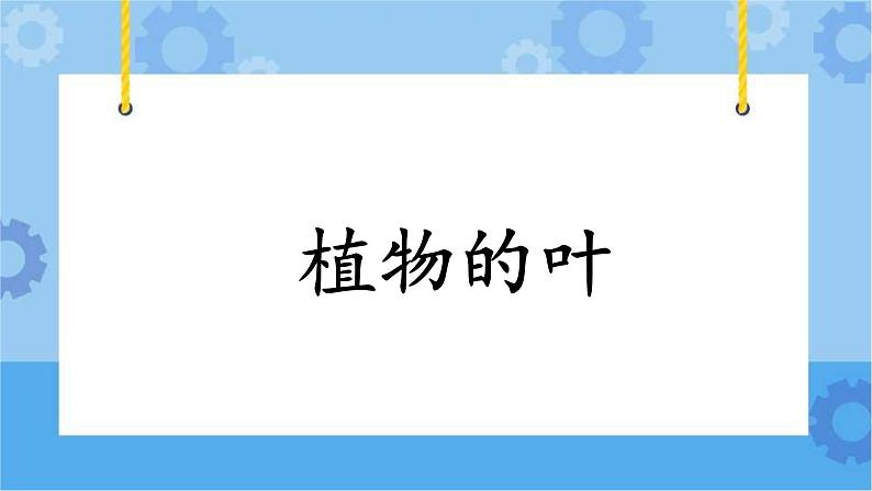 第三单元第12课时《植物的叶》课件第1页