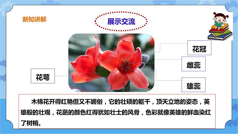 3.15《植物的花》课件+教案+练习08